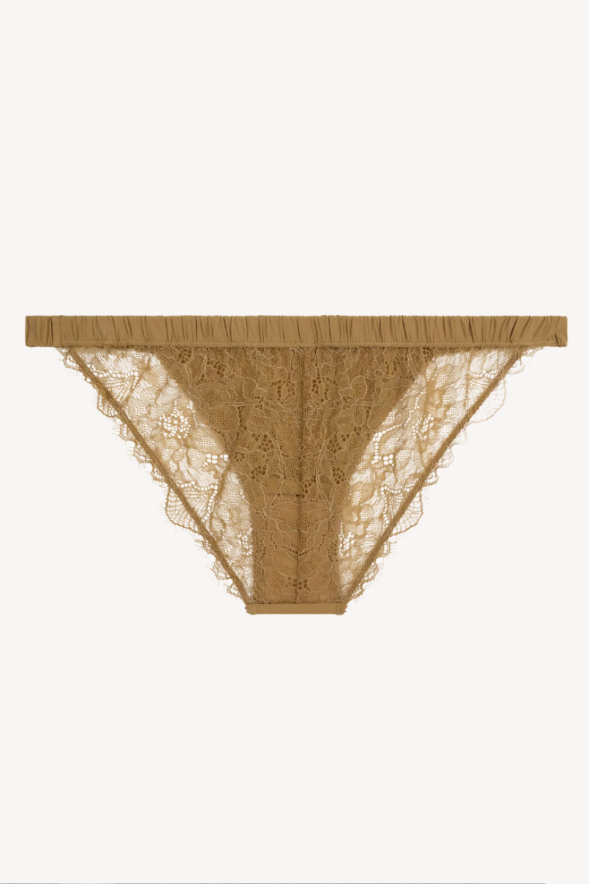 Wild Rose lace briefs bronze