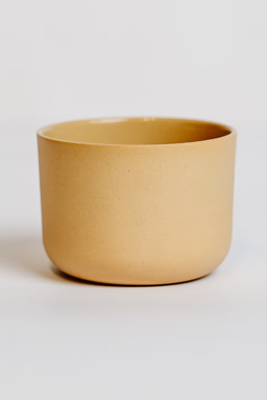 Cortado cup + saucer