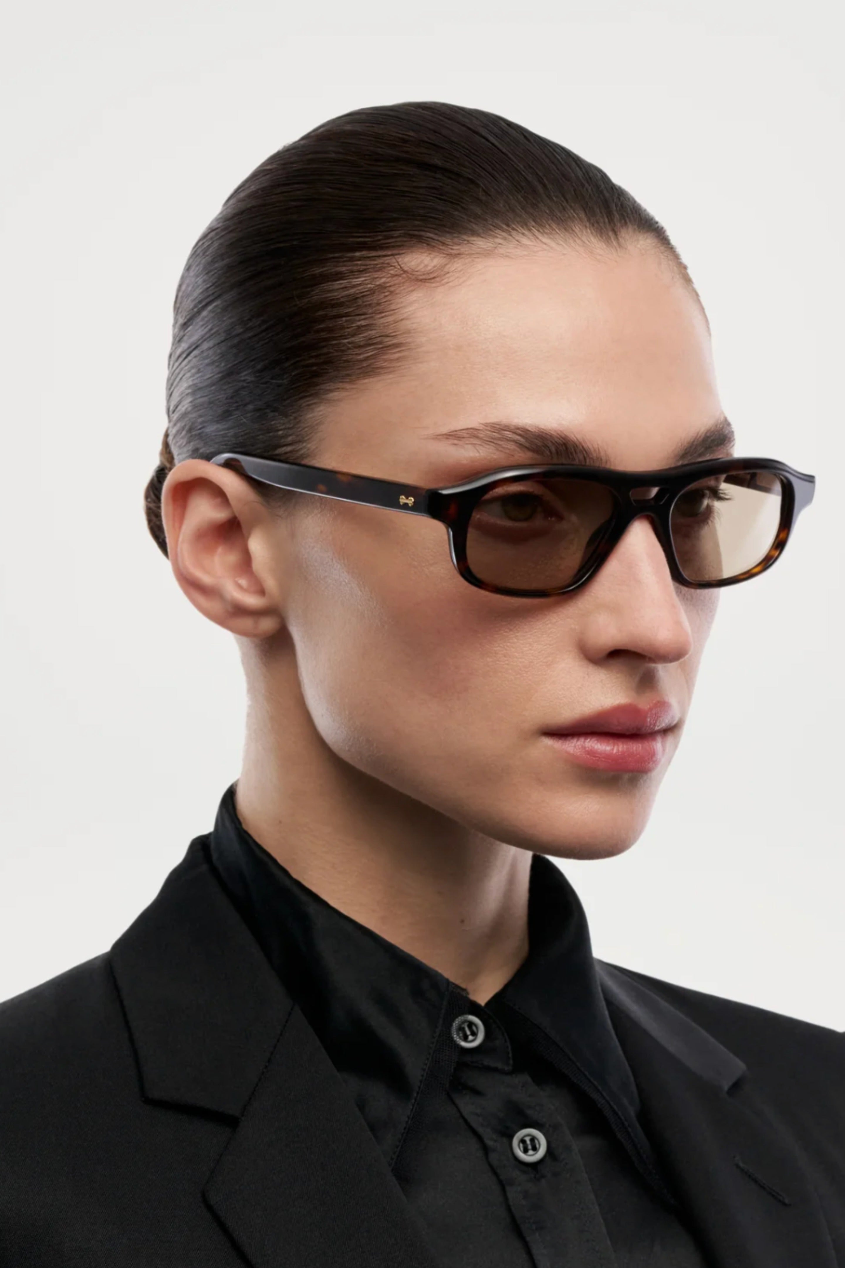 CHIMI Eli terra tortoise