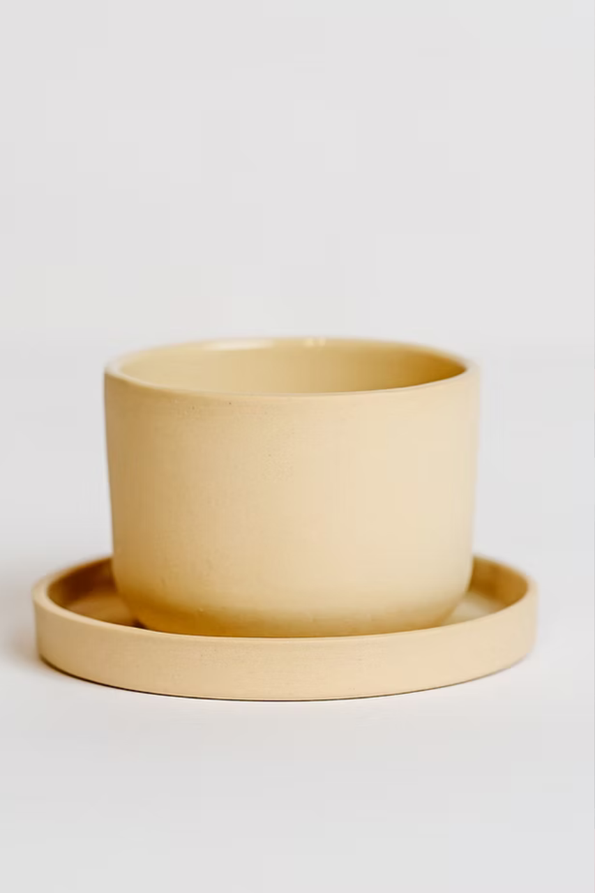 Cortado cup + saucer