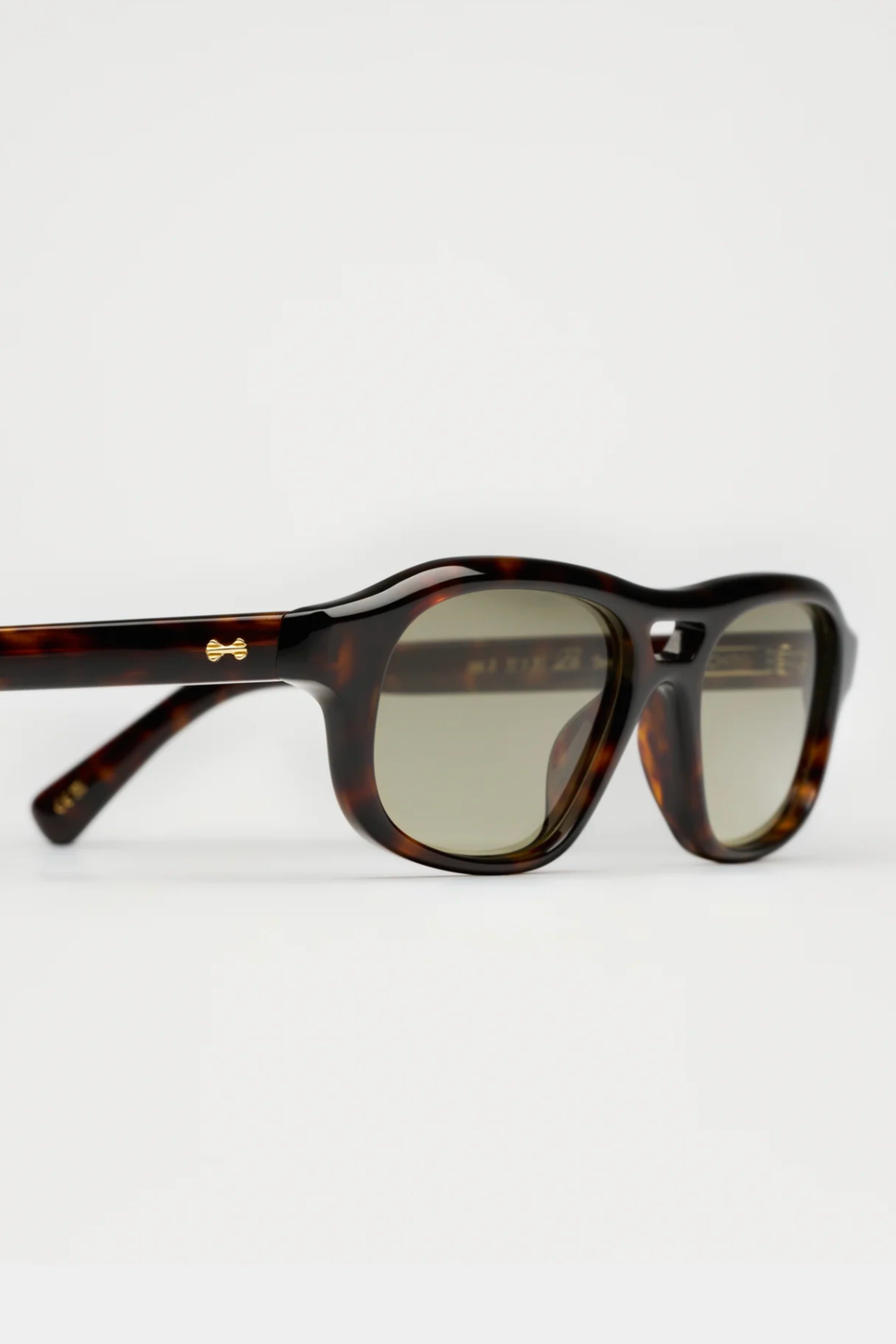 CHIMI Eli terra tortoise