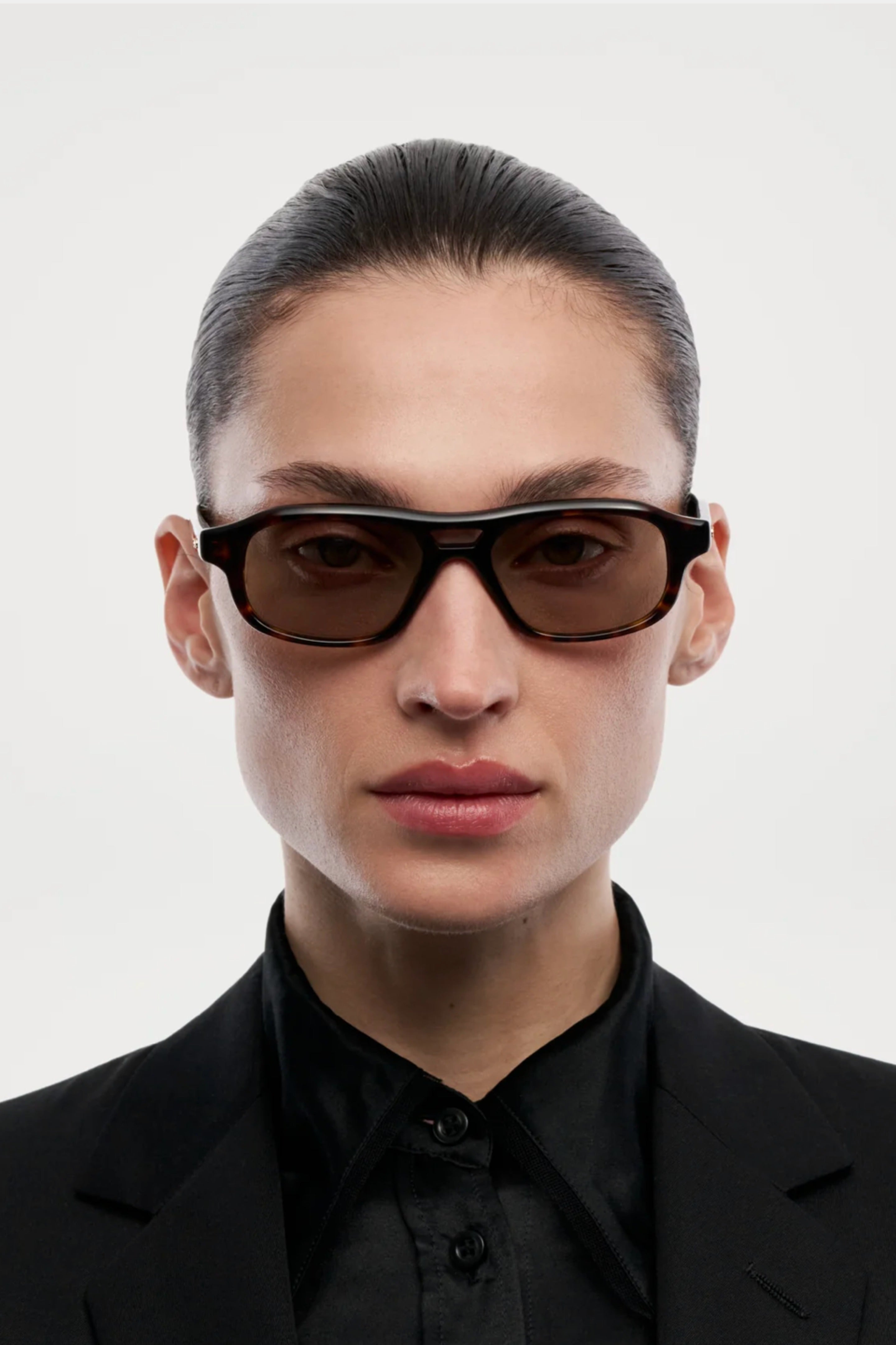 CHIMI Eli terra tortoise