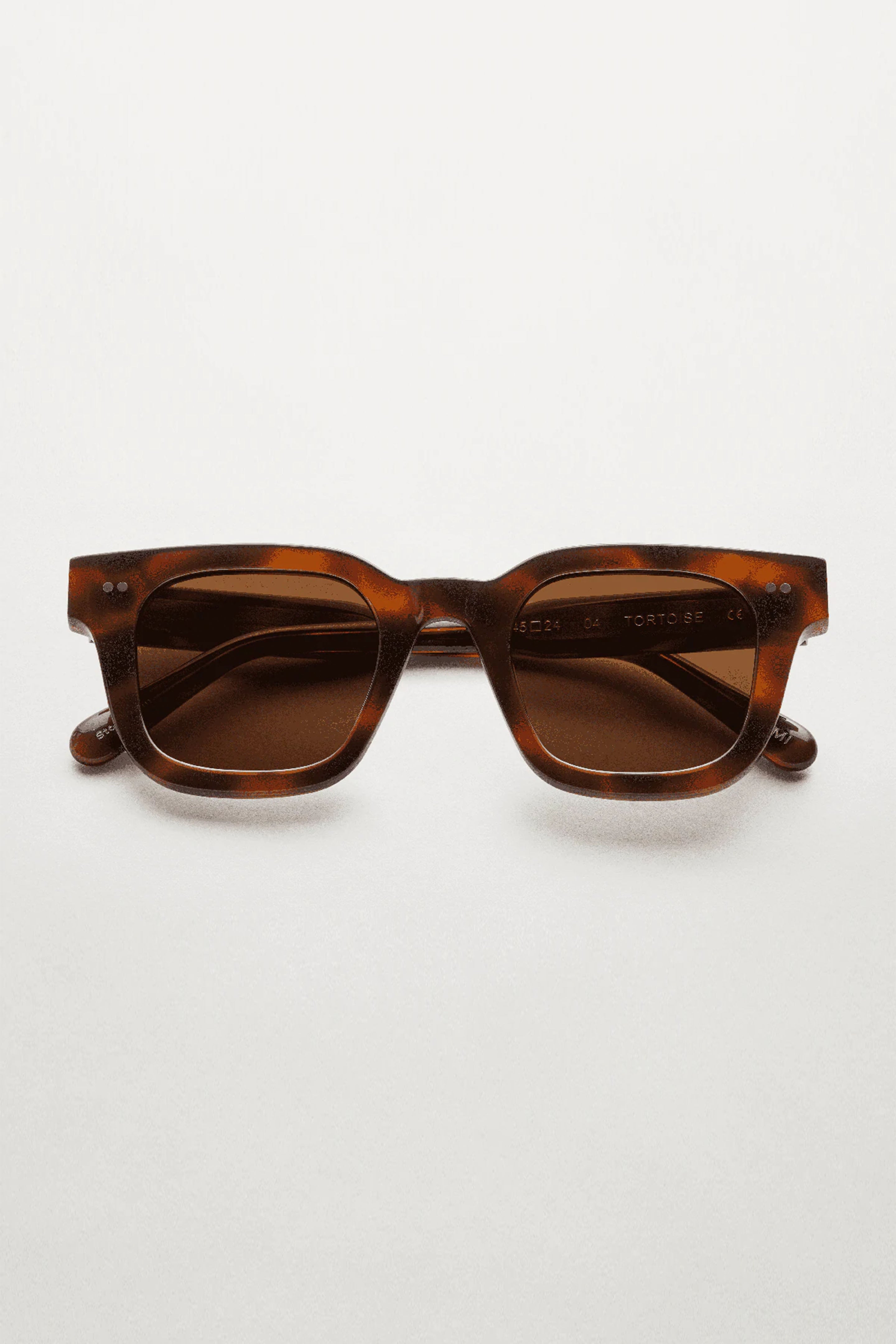 CHIMI 04 tortoise
