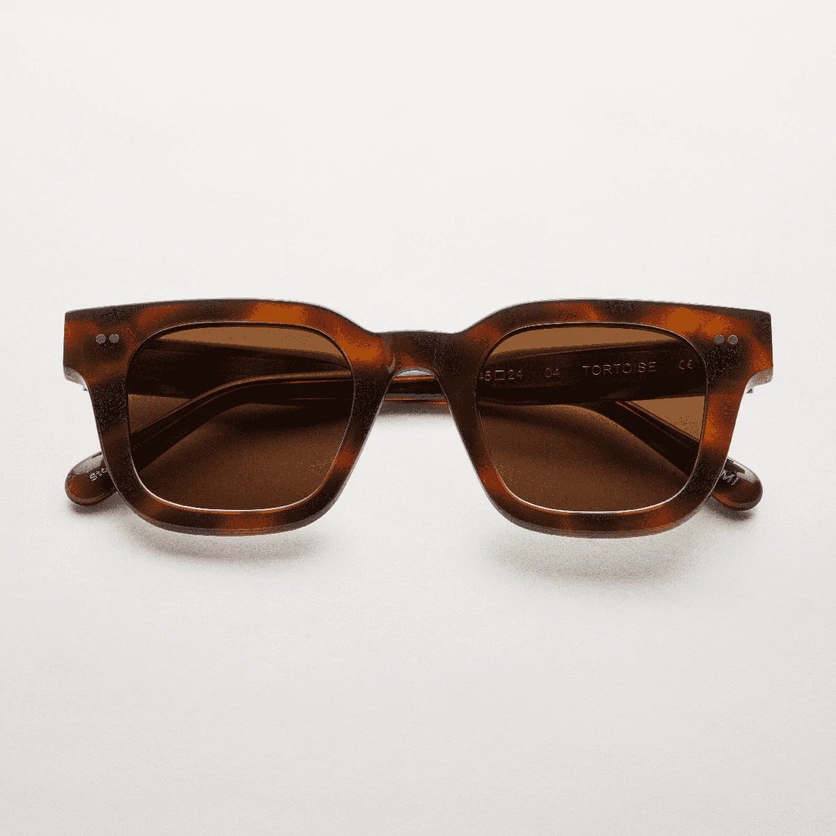 CHIMI 04 tortoise